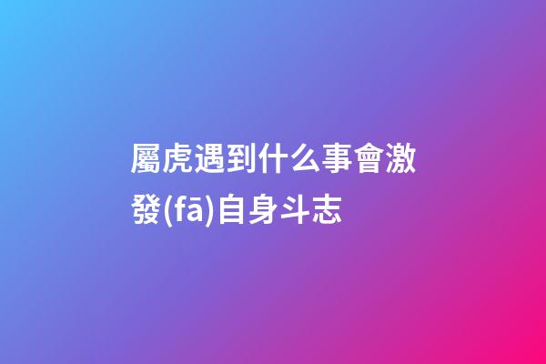 屬虎遇到什么事會激發(fā)自身斗志