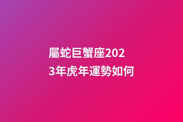 屬蛇巨蟹座2023年虎年運勢如何