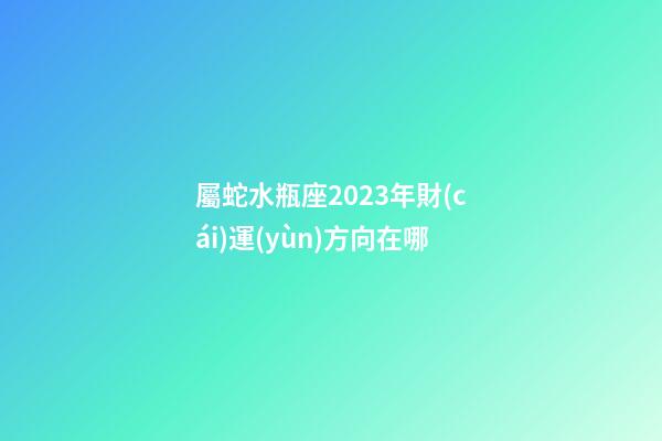 屬蛇水瓶座2023年財(cái)運(yùn)方向在哪