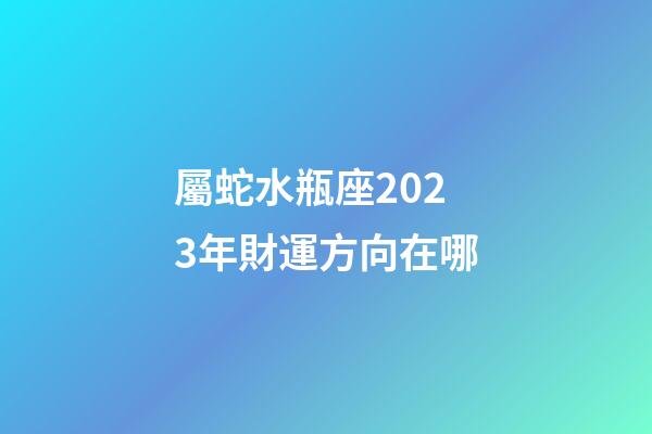 屬蛇水瓶座2023年財運方向在哪