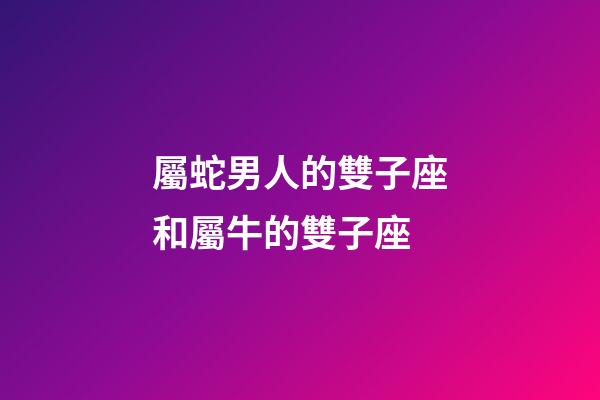 屬蛇男人的雙子座和屬牛的雙子座-第1張-星座運勢-玄機派