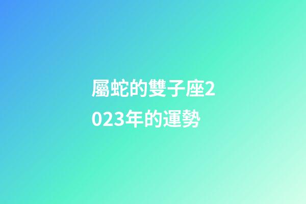 屬蛇的雙子座2023年的運勢-第1張-星座運勢-玄機派