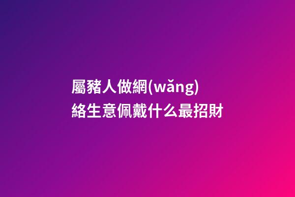 屬豬人做網(wǎng)絡生意佩戴什么最招財
