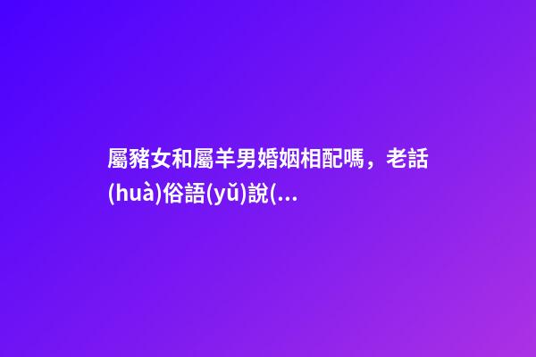 屬豬女和屬羊男婚姻相配嗎，老話(huà)俗語(yǔ)說(shuō)“娶妻不娶屬羊女-第1張-觀(guān)點(diǎn)-玄機(jī)派