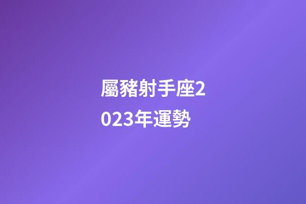 屬豬射手座2023年運勢-第1張-星座運勢-玄機派