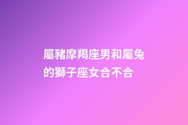 屬豬摩羯座男和屬兔的獅子座女合不合-第1張-星座運勢-玄機派