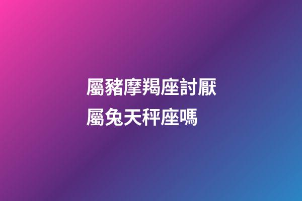屬豬摩羯座討厭屬兔天秤座嗎-第1張-星座運勢-玄機派