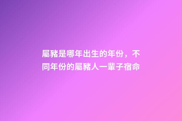 屬豬是哪年出生的年份，不同年份的屬豬人一輩子宿命-第1張-觀點-玄機派