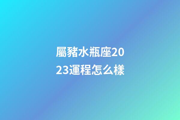 屬豬水瓶座2023運程怎么樣