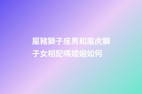 屬豬獅子座男和屬虎獅子女相配嗎婚姻如何-第1張-星座運勢-玄機派