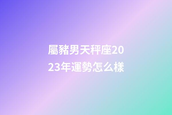 屬豬男天秤座2023年運勢怎么樣-第1張-星座運勢-玄機派