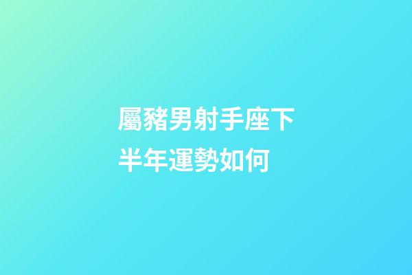 屬豬男射手座下半年運勢如何-第1張-星座運勢-玄機派