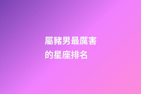 屬豬男最厲害的星座排名