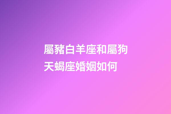 屬豬白羊座和屬狗天蝎座婚姻如何-第1張-星座運勢-玄機派