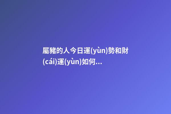 屬豬的人今日運(yùn)勢和財(cái)運(yùn)如何，十二生肖每日運(yùn)勢