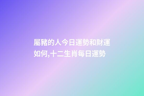 屬豬的人今日運勢和財運如何,十二生肖每日運勢-第1張-觀點-玄機派