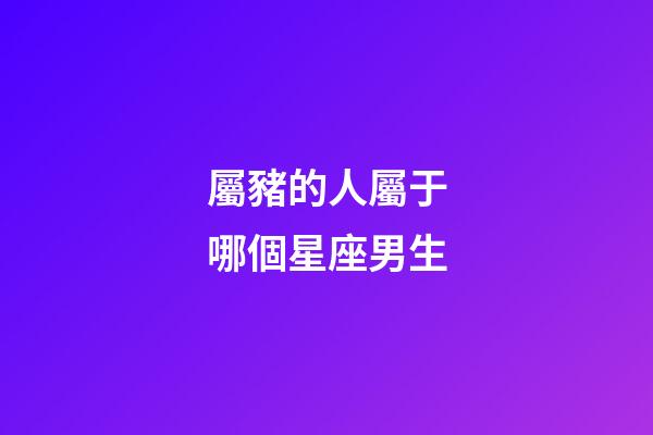 屬豬的人屬于哪個星座男生