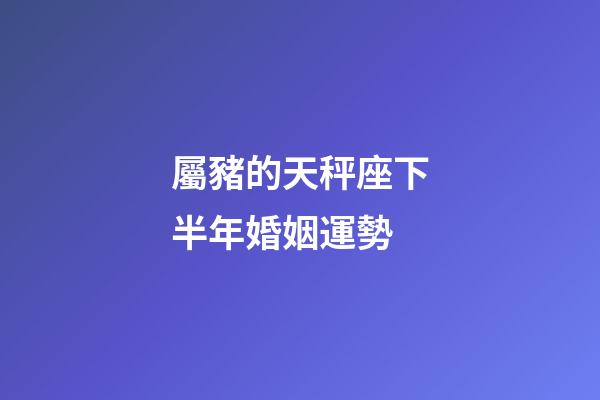 屬豬的天秤座下半年婚姻運勢-第1張-星座運勢-玄機派