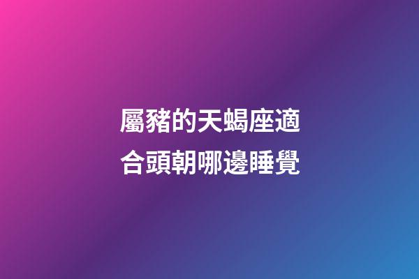 屬豬的天蝎座適合頭朝哪邊睡覺