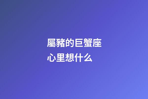 屬豬的巨蟹座心里想什么-第1張-星座運勢-玄機派