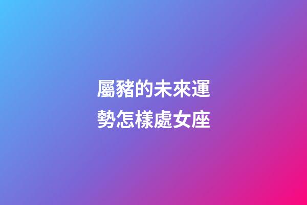 屬豬的未來運勢怎樣處女座-第1張-星座運勢-玄機派