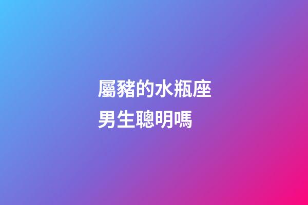 屬豬的水瓶座男生聰明嗎-第1張-星座運勢-玄機派