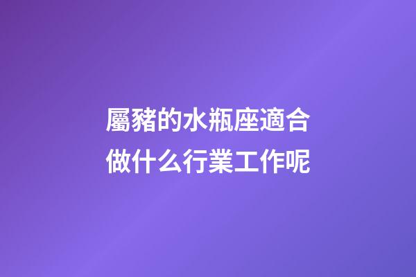 屬豬的水瓶座適合做什么行業工作呢