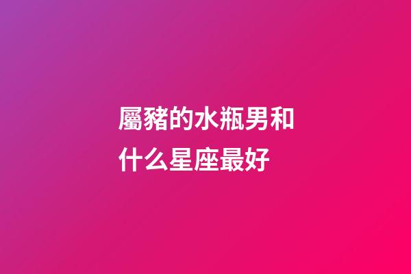 屬豬的水瓶男和什么星座最好-第1張-星座運勢-玄機派
