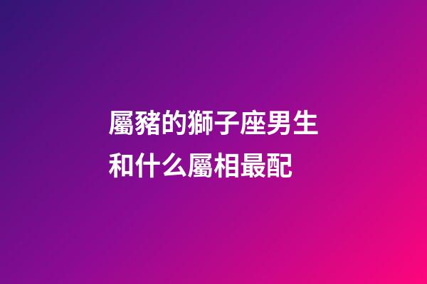 屬豬的獅子座男生和什么屬相最配-第1張-星座運勢-玄機派