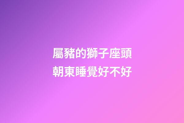 屬豬的獅子座頭朝東睡覺好不好-第1張-星座運勢-玄機派