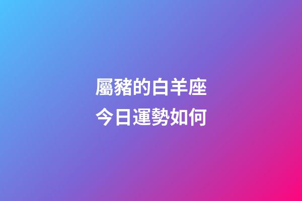 屬豬的白羊座今日運勢如何-第1張-星座運勢-玄機派