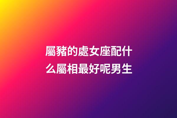 屬豬的處女座配什么屬相最好呢男生-第1張-星座運勢-玄機派