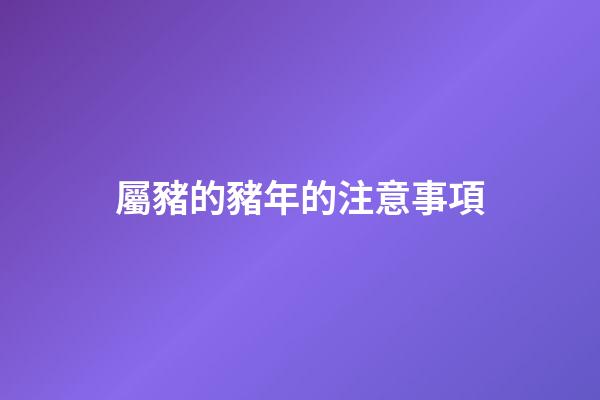屬豬的豬年的注意事項