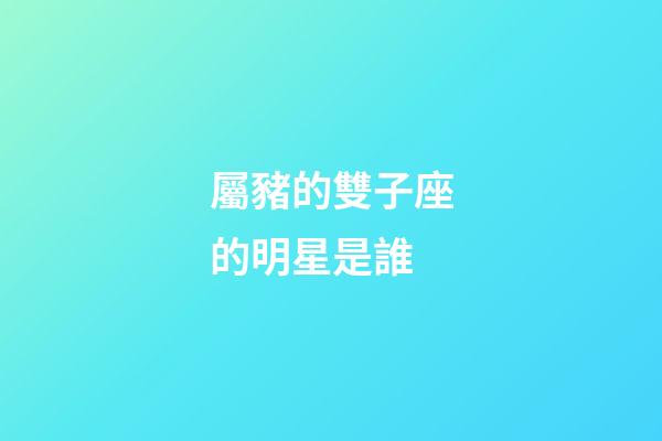 屬豬的雙子座的明星是誰
