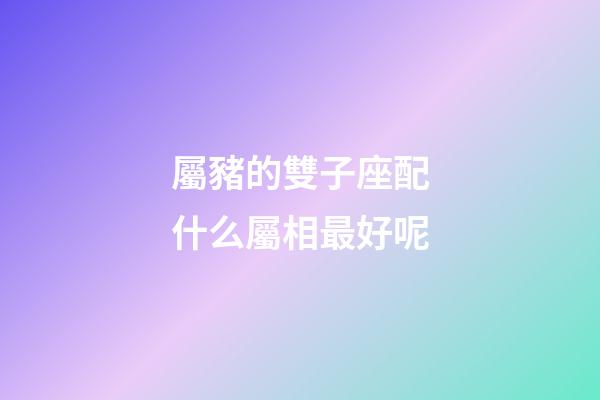 屬豬的雙子座配什么屬相最好呢-第1張-星座運勢-玄機派