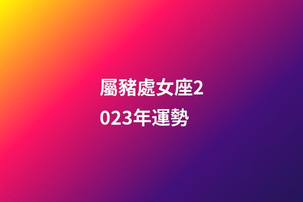 屬豬處女座2023年運勢-第1張-星座運勢-玄機派