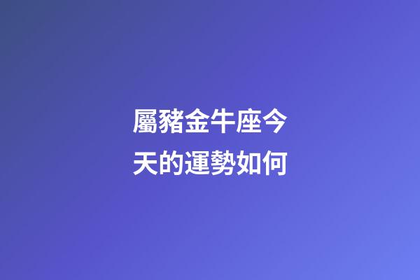 屬豬金牛座今天的運勢如何-第1張-星座運勢-玄機派
