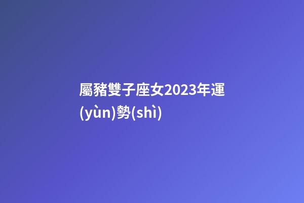 屬豬雙子座女2023年運(yùn)勢(shì)-第1張-星座運(yùn)勢(shì)-玄機(jī)派