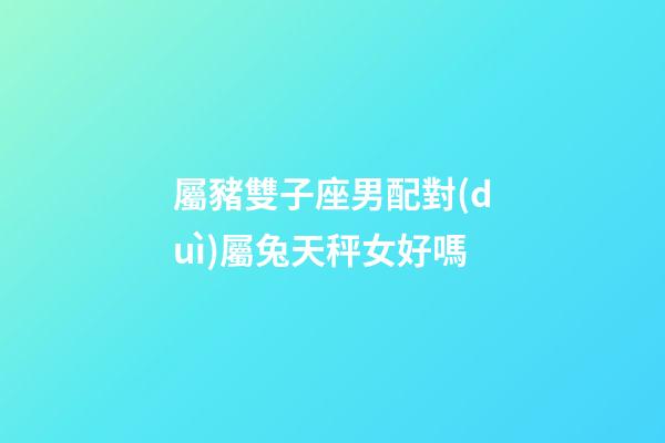 屬豬雙子座男配對(duì)屬兔天秤女好嗎-第1張-星座運(yùn)勢(shì)-玄機(jī)派