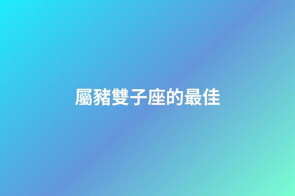 屬豬雙子座的最佳