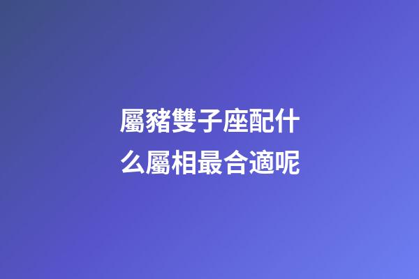 屬豬雙子座配什么屬相最合適呢