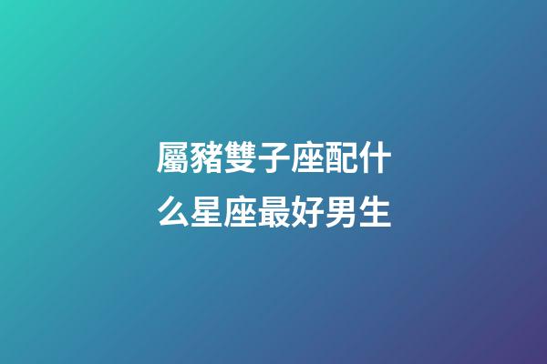 屬豬雙子座配什么星座最好男生-第1張-星座運(yùn)勢(shì)-玄機(jī)派