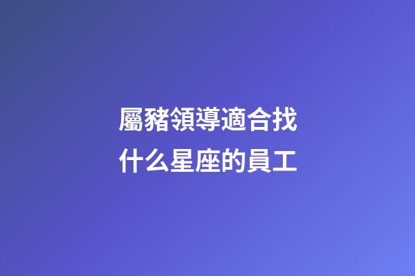 屬豬領導適合找什么星座的員工