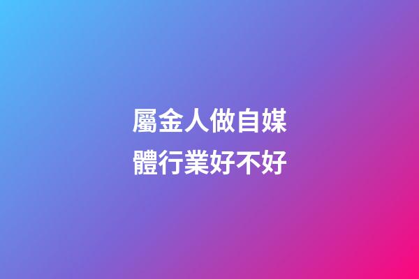 屬金人做自媒體行業好不好