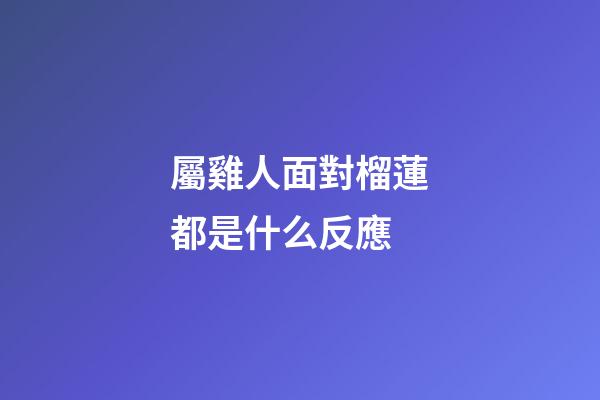 屬雞人面對榴蓮都是什么反應