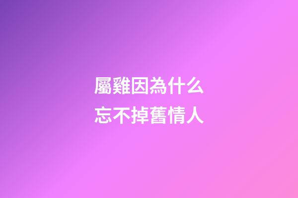 屬雞因為什么忘不掉舊情人