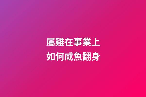 屬雞在事業上如何咸魚翻身