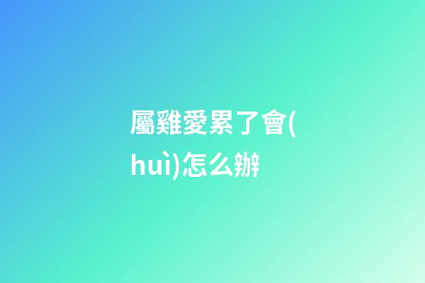 屬雞愛累了會(huì)怎么辦