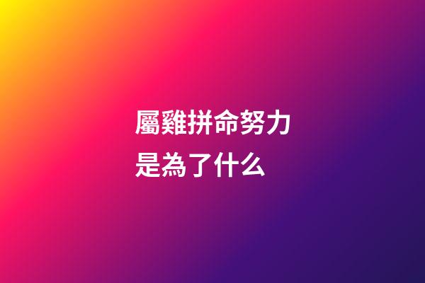 屬雞拼命努力是為了什么