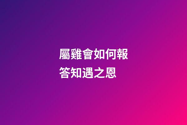屬雞會如何報答知遇之恩
